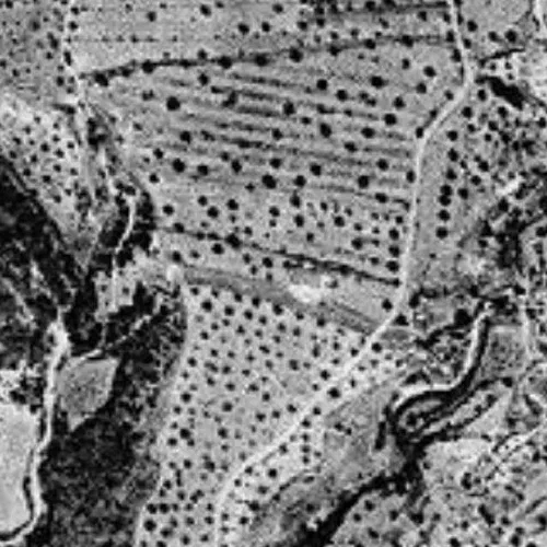 Aerial orthophoto of Cal Penedes, 1946