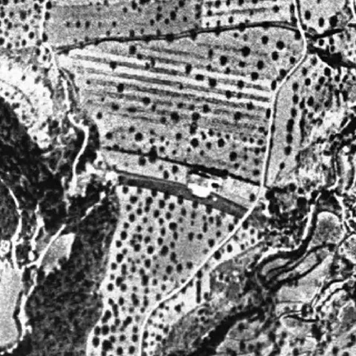 Aerial orthophoto of Cal Penedes, 1956