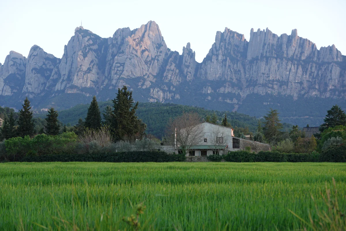 Cal Penedes with the Montserrat massif rising behind it, seen across a green field in spring
